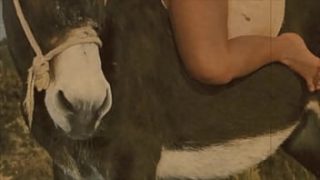 ‘Beauty & The Beast’, My Secret Life